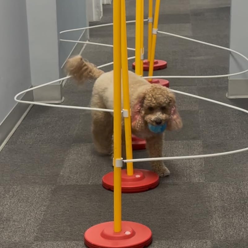 Dog Agility Weave Pole Guides – Training Aids for Fast, Accurate Weaving | Easy Snap-On PVC Guide Wires for Dog Agility Competition & Practice, 66″ Long Guides, Set of 4