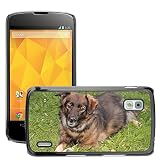 Haute qualite et durabilite Grand Phone Cases Etui Housse Coque de Protection Cover Rigide pour // M00142638 Híbrido Animales Perros mascotas // LG Nexus 4 E960