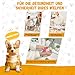 SUNFATT 10 Stück Hundespielzeug Set für Welpen & kleine Hunde – Robustes Welpenspielzeug aus 100% Baumwolle & Plüsch – Hundespielzeug Seil & Quietschend zur Zahnpflege – Waschbare Erstausstattung