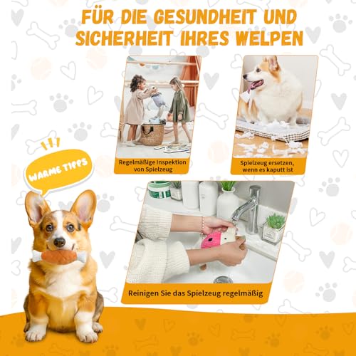 SUNFATT 10 Stück Hundespielzeug Set für Welpen & kleine Hunde – Robustes Welpenspielzeug aus 100% Baumwolle & Plüsch – Hundespielzeug Seil & Quietschend zur Zahnpflege – Waschbare Erstausstattung