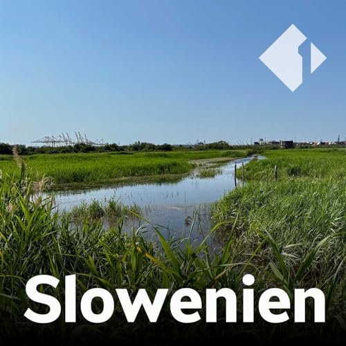 Renaturierung in Slowenien cover art