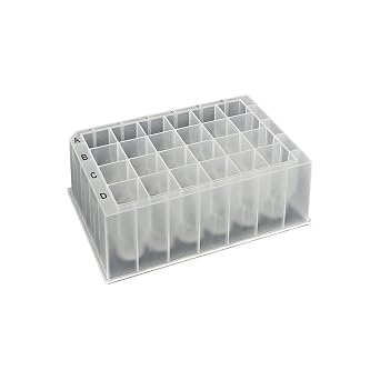 CellProTM 24-Well Deep Well Plates 10.4mL, V-Bottom, Square Well