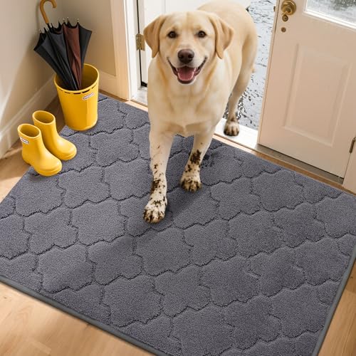 COSY HOMEER Paillasson Interieur Entree Antidérapant, 80 x 120 cm Tapis Entree, Tapis d'Entrée Intérieur Absorbant, Lavable en Machine, Anti-Salissures, Gris Foncé