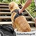 Funfox Hundegeschirr Mittelgroße Hunde [M] - Verstellbares Anti-Zug Brustgeschirr mit Griff & Reflektorstreifen, Atmungsaktives No Pull Hundegeschirr für Grosse/Kleine Hunde Outdoor Schwarz