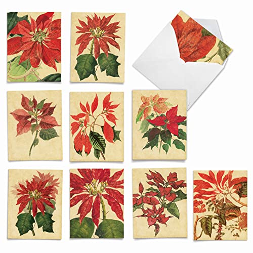 Image of The Best Card Company - 10 Holiday Note Cards for Christmas - Festive Bulk Assortment, Boxed Notecards with Envelopes (4 x 5.12 Inch) - Poinsettia Season M9628XSG