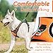 Eagloo Dog Harness Small Sized Dog, No Pull Service Vest with Reflective Strips and Control Handle, Adjustable and Comfortable for Walking, No Choke Pet Harness with 2 Metal Rings, Orange, S