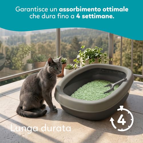 Aqpet Friends Litière CattyGreen Sable pour Chats au soja Naturel d'origine végétale Parfum Jasmin – vue 3
