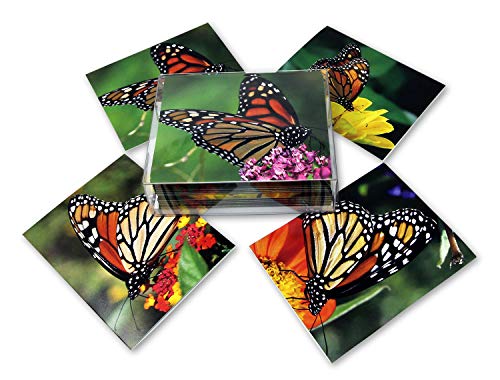 Small World Greetings Monarch Butterfly Note Cards 24 Count-Blank Inside With White Envelopes-A2 Size 5.5" X 4.25"-Summer Greeting Cards-Nature Stationery-Birthday, Thank You, And Much More #TOP1