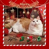 Zoom IMG-2 giocattoli per gatti 14 confezioni Zoom IMG-2 giocattoli per gatti 14 confezioni