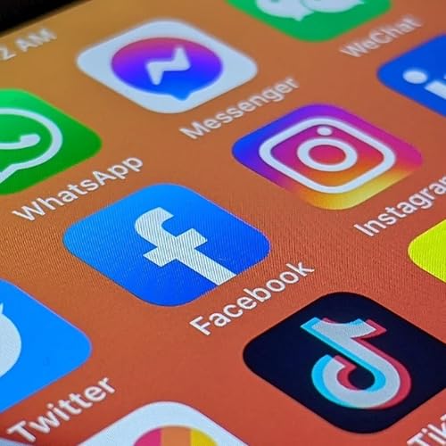Page de couverture de $49m fine looms for social media firms as under-16 ban takes effect December 10