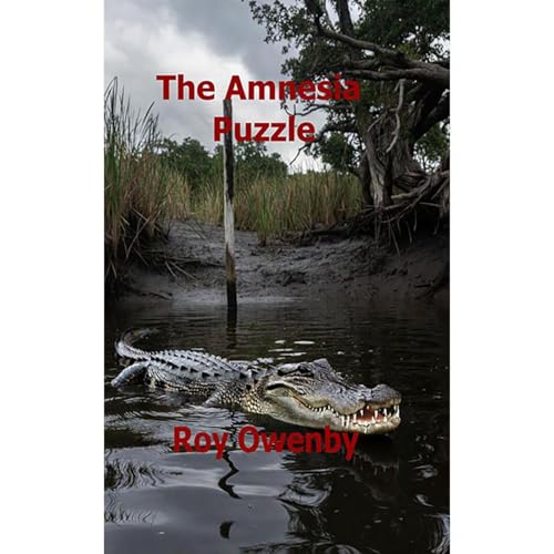 The Amnesia Puzzle Audiolibro Por Roy Owenby arte de portada