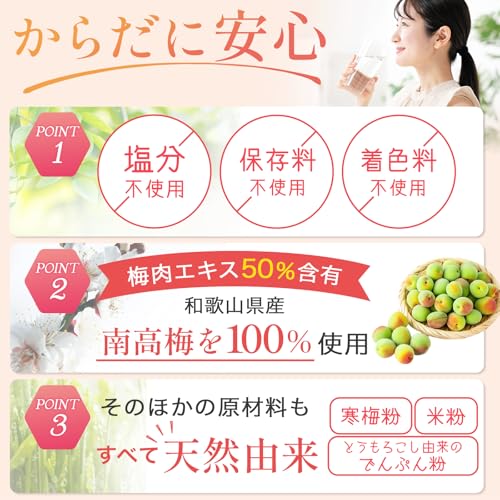 味彩百貨堂 梅肉エキス粒 健梅粒