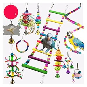 Vogelspeelgoed Pet Parrot Hanging Toy Chewing Bite Rattan Balls Swing Bell Bird Parakeet Stand Training Toys Accessoires…