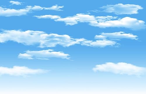Miniatura 8 de AOFOTO Telón de fondo de nube blanca cielo azul de 20 x 10 pies para sesión de fotos de cielo soleado para fotografía de niños, recién nacidos, baby