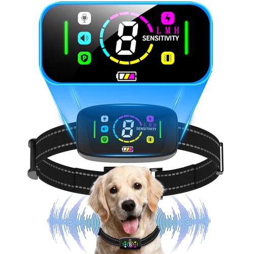 2025N ʖih~  ^p y gsgp SAI ʖih~  IP67h USB[d 8iK̊x+4̃[hZT[{戵