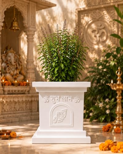Image of Niyara Tulsi Fibre Pot for Indoor, Outdoor, Home Office, Pooja Plants Gamla (12 Inch, FRP)