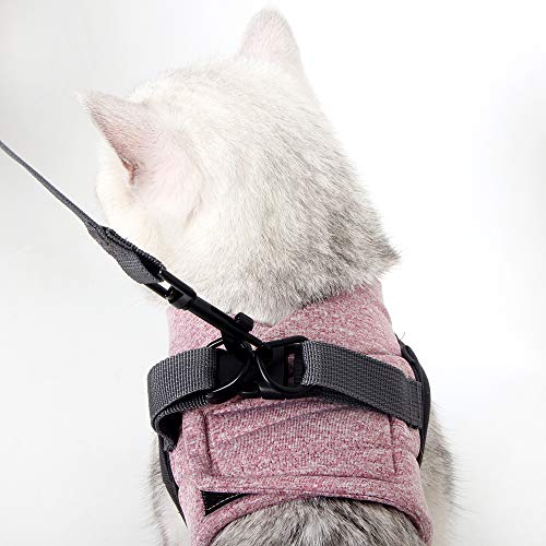 Heywean Cat Harness and Leash - Ultra Light Escape Proof Kitten Collar Cat Walking Jacket with Running Cushioning Soft and Comfortable Suitable for Puppies Rabbits