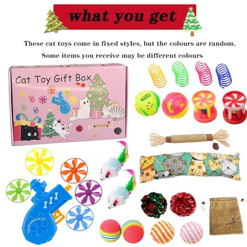 Pack de jeu pour chat pour éviter les griffures sur canapé et occuper le chaton