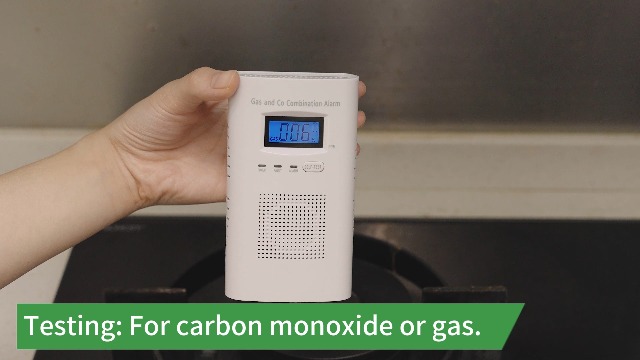 Combination Gas and Carbon Monoxide Detector Plug-in | CO