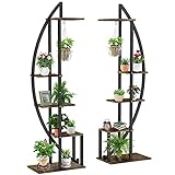 Gotydi 5 Tier Metal Plant Stand Indoor Black Plant Shelf Half Moon Shape Multiple Curved Display Shelf Flower Pot Tall Stand Rack for Patio Lawn Garden Balcony Home Decor (2 PCS)