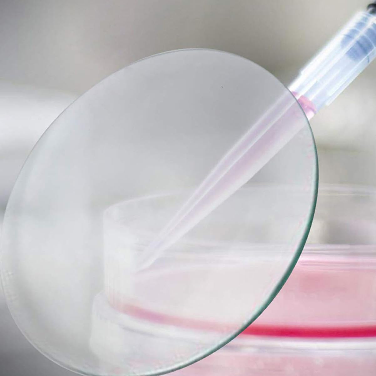 PRETYZOOM 10pezzi Coperchi in Vetro per Bicchieri di Laboratorio Vetri Trasparenti per Esperimenti Chimici Coperchi Impermeabili per Becher di Vetro Accessori da Laboratorio per Misurazioni