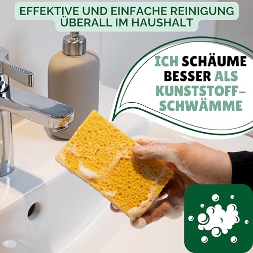 Spülschwamm Protea aus nachhaltigen Kokosfasern, 6er Set