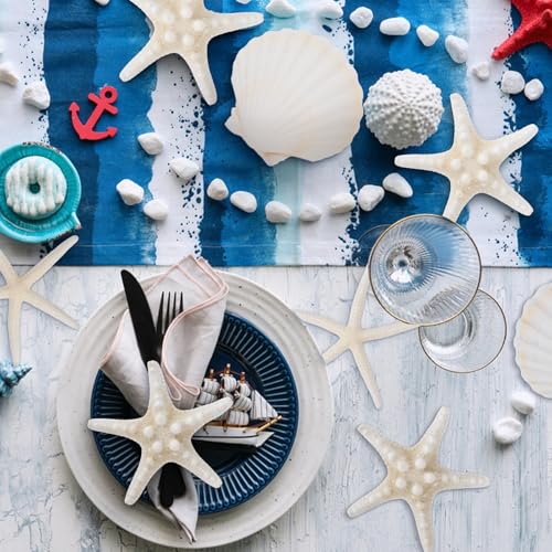 QEQEKAKA 15PCS Natural Starfish and Scallop Shells 4"-5" Large Seashells by QEQEKAKA - Used condition - Image 5