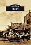  Elgin (Images of America)