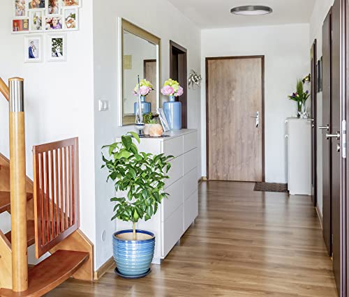 Coramdeo 15 Inch Led Decorative Low Profile Flush Mount Ceiling Fixture, Color Temp Select Switch, Built In Led Gives 150W Of Light From 21.4W Of Power, 1500 Lumen, Dimmable, Nickel #TOP4