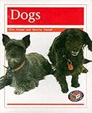  PM Non Fiction Animal Facts Level 14/15&16 Pets Mixed Pack X6 Orange
