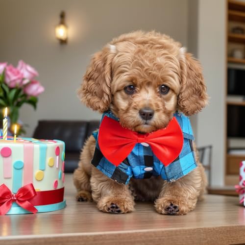 Tongcloud 2 Pack Plaid Dog Shirts Plaid Puppy Cat Shirt Dog Shirts Plaid Puppy Shirts for Small Dogs Cats Birthday Party and Holiday(Red and Blue, Medium) - Image 5