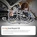 HiSport Dual Vanos O-Ring Seal Repair Kit - Compatible with BMW E36 E39 E46 E53 E60 E83 E85 M52tu M54 1998-2006 - Replacement Timing Solenoid Gasket Kit 11361433513 11361748745