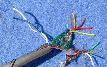 Belden 8787-500-60 Multi-Conductor - Special Audio Communication