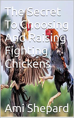 The Secret To Choosing And Raising Fighting Chickens