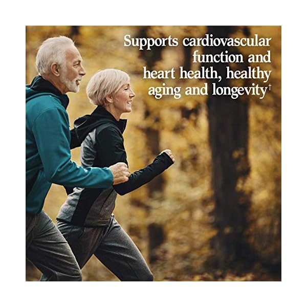 Garden-of-Life-Vegetarian-Omega-3-6-9-Supplement-Raw-CoQ10-Chia-Seed-Oil-Whole-Food-Nutrition-with-Antioxidant-Support-60-Count Garden of Life Vegetarian Omega 3 6 9 Supplement - Raw CoQ10 Chia Seed Oil Whole Food Nutrition with Antioxidant Support, 60 Capsules