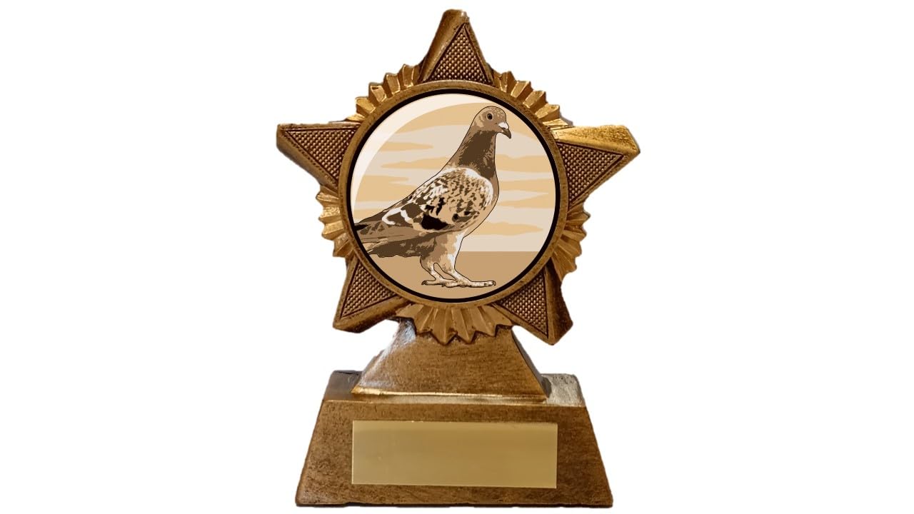 Pigeon Trophy Award Premier Star Antique Gold 120mm Racing Bird Heavy Resin Free Engraving -troshow1-trd