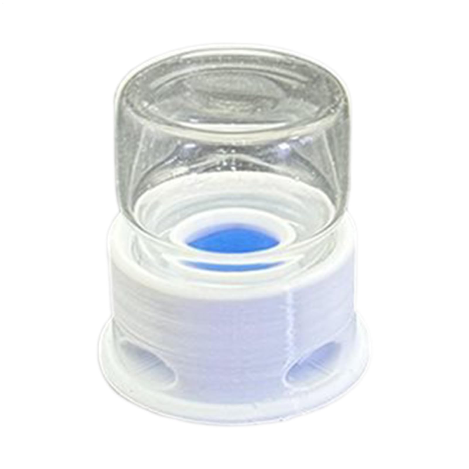 para Hormigas | Bebedero para Grillos | Bebedero Transparente Antifugas Insectos, Granja, Aula y Hogar