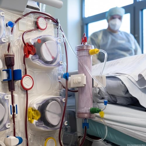 Insuffisance r&eacute;nale et dialyse, ce qu'il faut savoir