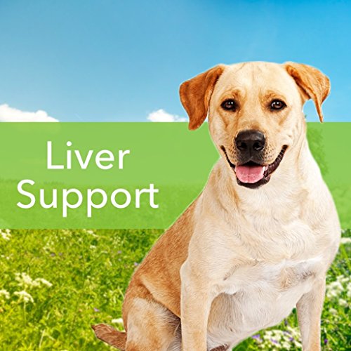 Pet Wellbeing Milk Thistle For Dogs & Cats - Supports Liver Health, Protects Liver - Glycerin-Based Natural Herbal Supplement - 4 Oz (118 Ml) #TOP1
