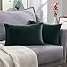 FORTRY 2er Set Pack Samt Soft Solid Kissenbezug 30x50 cm Kissenhülle kopfkissenbezug Dekorative Wurf Kissenbezug Dekokissen Sofa Schlafzimmer Sofakissen Wurfkissenbezug samtkissen Dunkelgrün