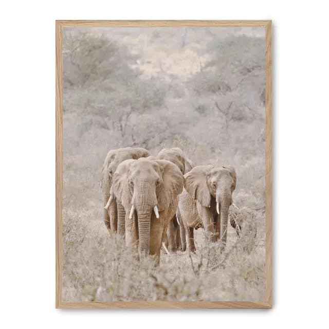 Cuadro elephant herd i_FASE5 pour transformer l'ambiance du salon
