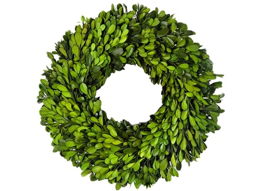 Preserved Boxwood Wreath 12 in by Tradingsmith