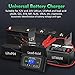 25 Amp Lithium Battery Charger, 12V and 24V Lifepo4,Lead-Acid(AGM/Gel/SLA..) Battery Charger,Battery Maintainer, Trickle Charger, and Battery Desulfator for Car,Boat,Motorcycle, Lawn Mower.