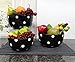 Set of 3 POLKA DOTS Black Ceramic Mixing Bowls, 82169MIX By ACK