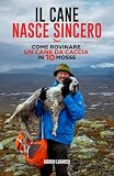 Il cane nasce sincero: Come rovinare un cane da caccia in 10 mosse