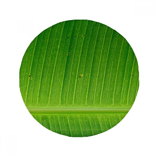 Idée cadeau déco originale tapis rond motif imprimé nature multicolor