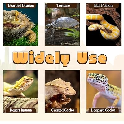 Bearded Dragon Tank Accessories, Reptile Substrate Mat Terrarium Carpet for 4x2x2 Bearded Dragon Enclosure for 120 Gallon Reptile Tank