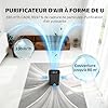 ISSELEC 2 en 1 purificateur d'air et humidificateur d'air H13 filtre à air haute efficacité ioniseur taille de pièce jusqu'à 80㎡, Filtre 99,97% des poils d'animaux domestiques/pollen/fumée/odeur