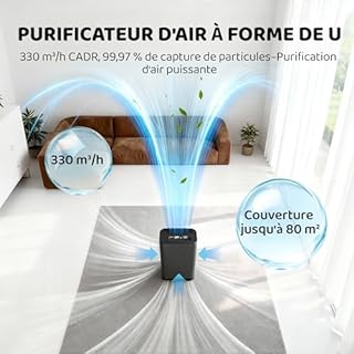 ISSELEC 2 en 1 purificateur d'air et humidificateur d'air H13 filtre à air haute efficacité ioniseur taille de pièce jusqu'à 80㎡, Filtre 99,97% des poils d'animaux domestiques/pollen/fumée/odeur