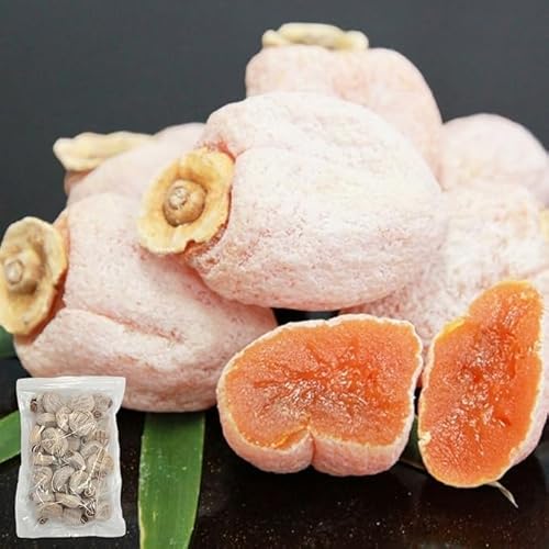 [݂̂₳] sc` ` 500g 󂠂 ƒp 쌧 MBY Ⓚ Y aَq 